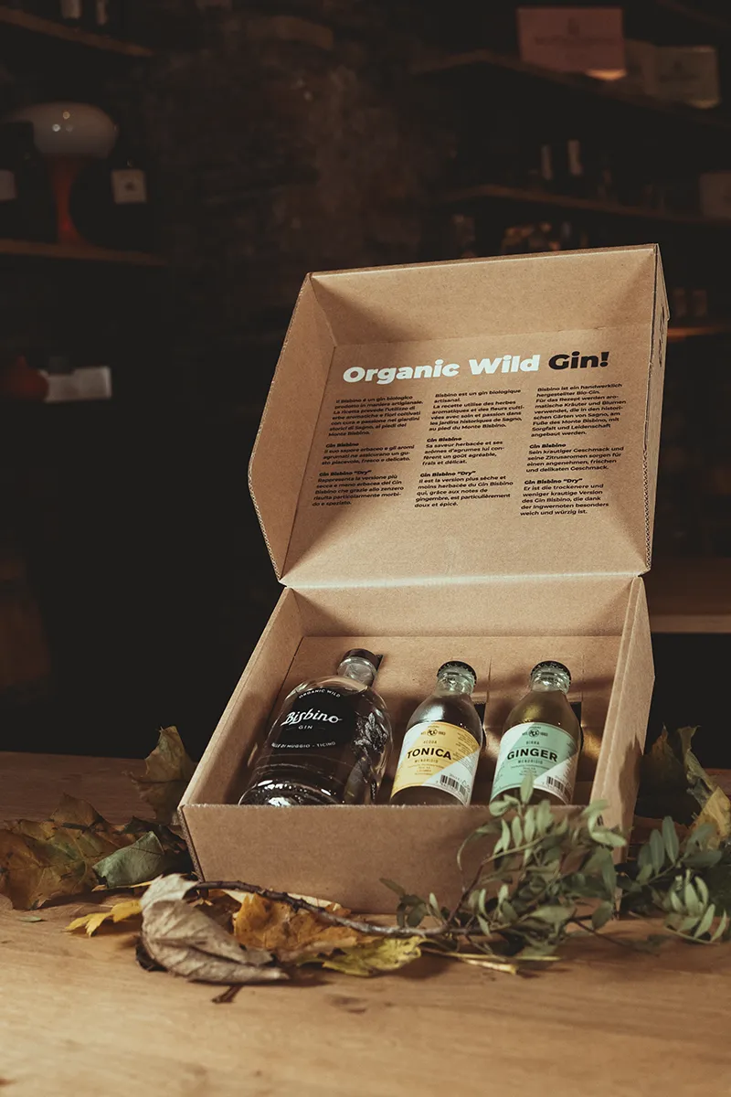 Box Gin Bisbino con tonica e ginger in confezione aperta