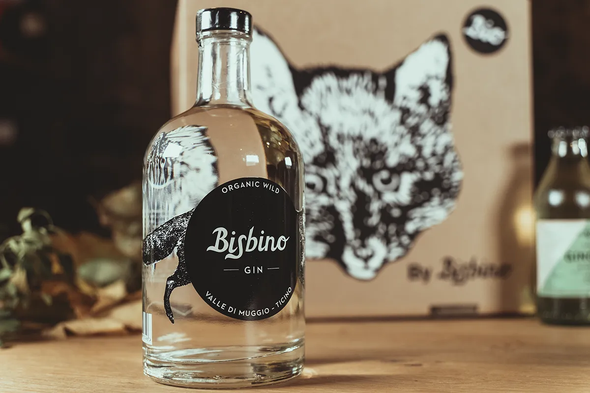 Bottiglia Gin Bisbino con packaging e mixer in ambientazione naturale