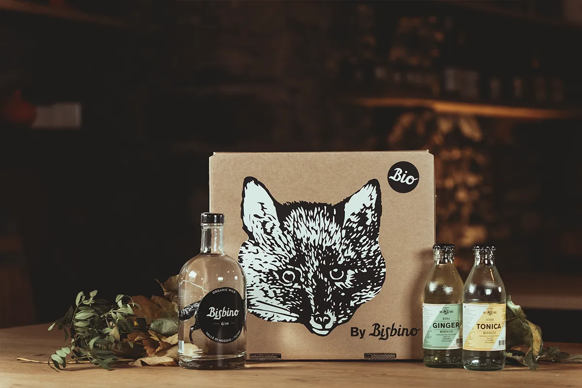Bottiglia Gin Bisbino con packaging e mixer in ambientazione naturale