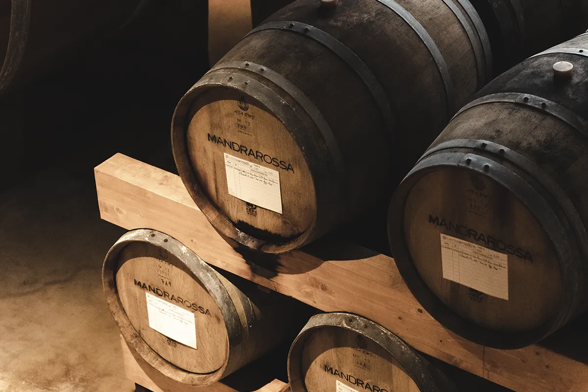 Botti Mandrarossa invecchiamento vino rosso cantina Borgovecchio