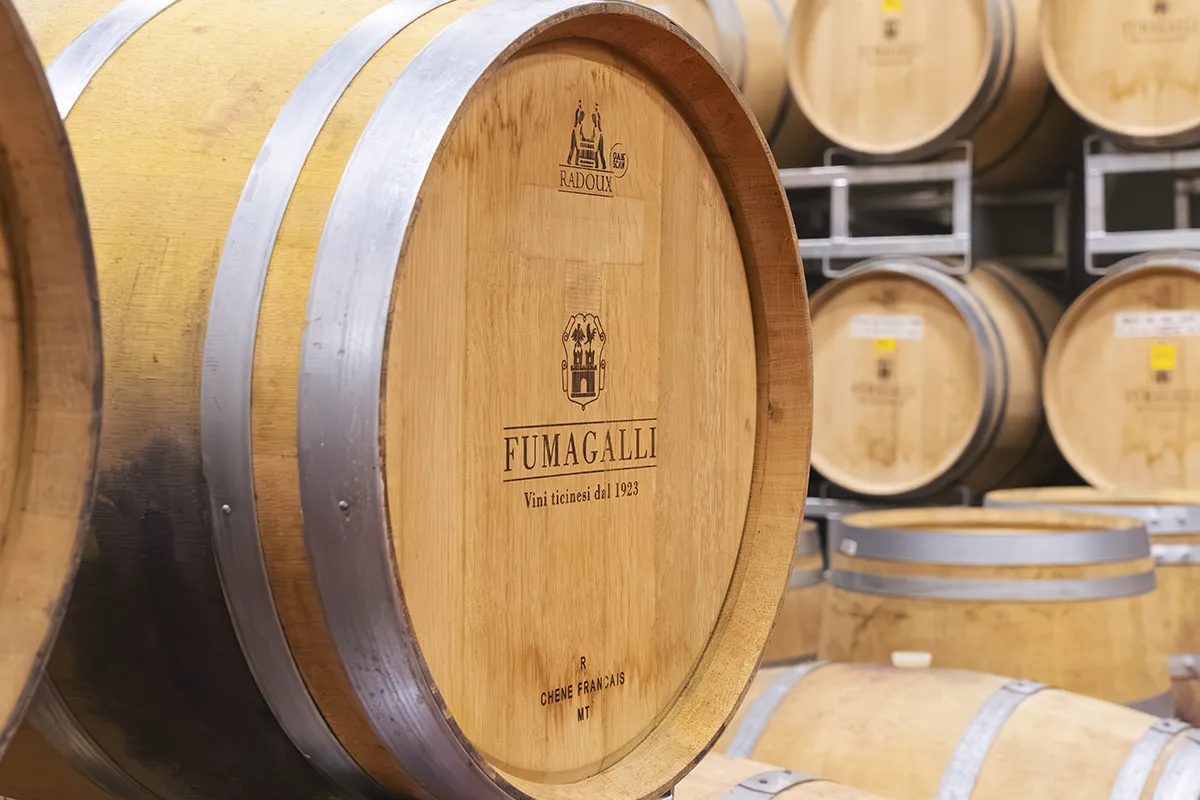 Barrique rovere Fumagalli Vini ticinesi dal 1923 cantina Borgovecchio