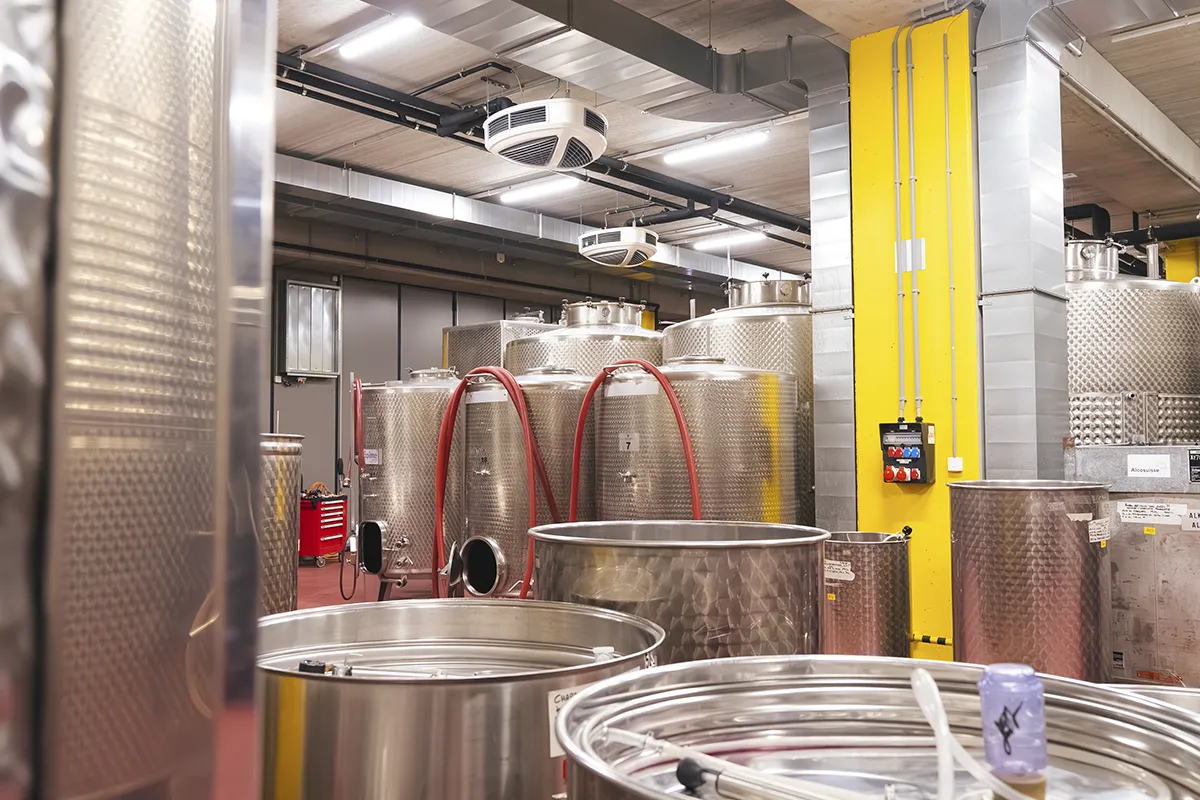 Serbatoi acciaio inox fermentazione vino cantina produzione Borgovecchio